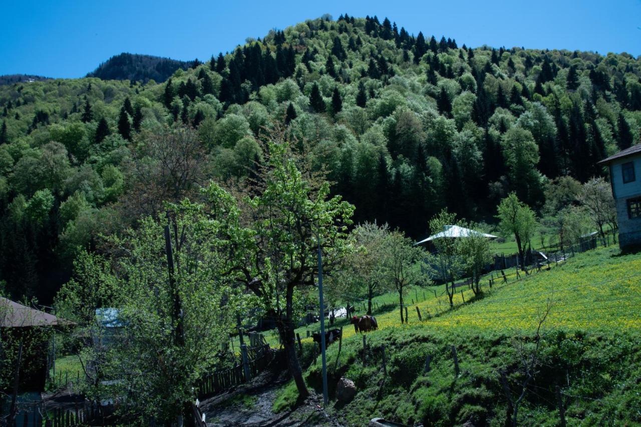 Oda Khulo Esterno foto